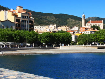 Coral Veus de Portbou
